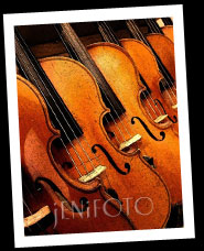 Violins